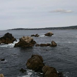 Meet your Posher, Julia